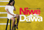Audio: Nini ft Nay wa Mitego – Niwe Dawa (Mp3 Download)