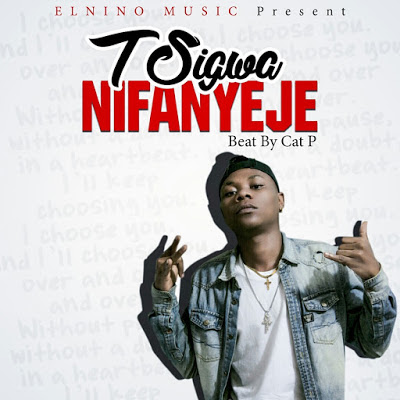 Audio: T Sigwa - Nifanyeje (Mp3 Download)