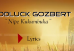 Lyrics VIDEO: Goodluck Gozbert - Nipe (Mp4 Download)
