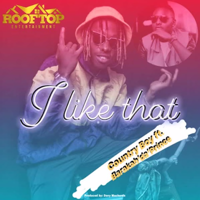 Audio: Country Wizzy Ft. Baraka The Prince – I like That (Mp3 Download)
