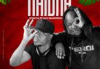 Audio: Mtafya Ft. Nay Wa Mitego - Naiona (Mp3 Download)