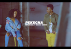 VIDEO: Centano - Pekecha (Mp4 Download)