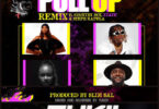 Audio: Frida Amani Ft. Country Wizzy, X Xtatic, Steph Kapela – Pull Up Remix (Mp3 Download)