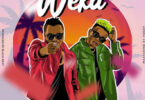 Audio: Dully Sykes Ft Marioo - Weka (Mp3 Download)