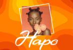 Audio: Lomodo Ft. Marioo - Hapo (Mp3 Download)