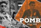 Audio: Chege Ft. Dunga - Pombe (Mp3 Download)