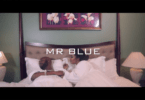 VIDEO: Mr Blue - Mautundu (Mp4 Download)