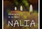 Audio: Ferooz Ft. Roma - Nalia (Mp3 Download)