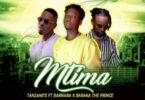 Audio: Tanzanite Ft Barnaba & Baraka The Prince - Mtima (Mp3 Download)