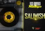 Audio: Rich Mavoko - Salimisha (Mp3 Download)
