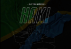 Audio: Nay Wa Mitego - Haki (Mp3 Download)
