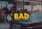 VIDEO: Frida Amani - Bad (Mp4 Download)