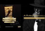 Audio: Walter Chilambo - Usinipite (Mp3 Downlod)