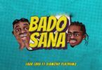 Audio: Lava Lava Ft Diamond Platnumz - Bado Sana (Mp3 Download)