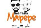 Audio: Chande Ft Tini White - Mapepe (Mp3 Downlod)