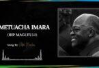 Audio: Peter Msechu - MAGUFULI UMETUACHA IMARA (Mp3 Download)