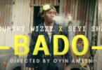 VIDEO: Country Wizzy Ft. Seyi Shay - Bado (Mp4 Download)
