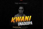 Audio: Nay Wa Mitego - Kwani Unaogopa (Mp3 Download)