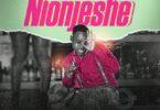 Audio: P Mawenge - Nionjeshe (Mp3 Download)