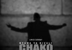 Audio: Linex Sunday - Nyuma Ya Kivuli Chako (Mp3 Download)