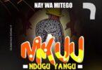 Audio: Nay Wa Mitego - Mkuu Ndugu Yangu (Mp3 Download)