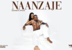 Audio: Diamond Platnumz - Naanzaje (Mp3 Download)