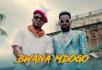 VIDEO: Alikiba Ft. Patoranking - Bwana Mdogo (Mp4 Download)