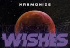 Audio: Harmonize - Wishes (Mp3 Download)