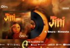 Audio: Snura - Nimeota (Mp3 Download)