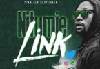 Audio: Nikki Mbishi - Nitumie Link (Mp3 Download)