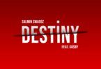 Audio: Salmin Swaggz Ft. Gosby - Destiny (Mp3 Download)