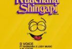 Audio: D Voice Ft. Barnaba, Lody Music & Platform - Kuachana Shingapi (Mp3 Download)