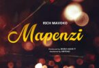 Audio: Rich Mavoko - Mapenzi (Mp3 Download)