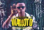 Audio: Bright Ft. Mr Blue - Wamoto (Mp3 Download)