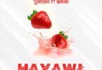 Audio: Lomodo Ft. Amini - Hayawi (Mp3 Download)