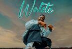 Audio: Manengo Ft Nacha - Walete (Mp3 Download)