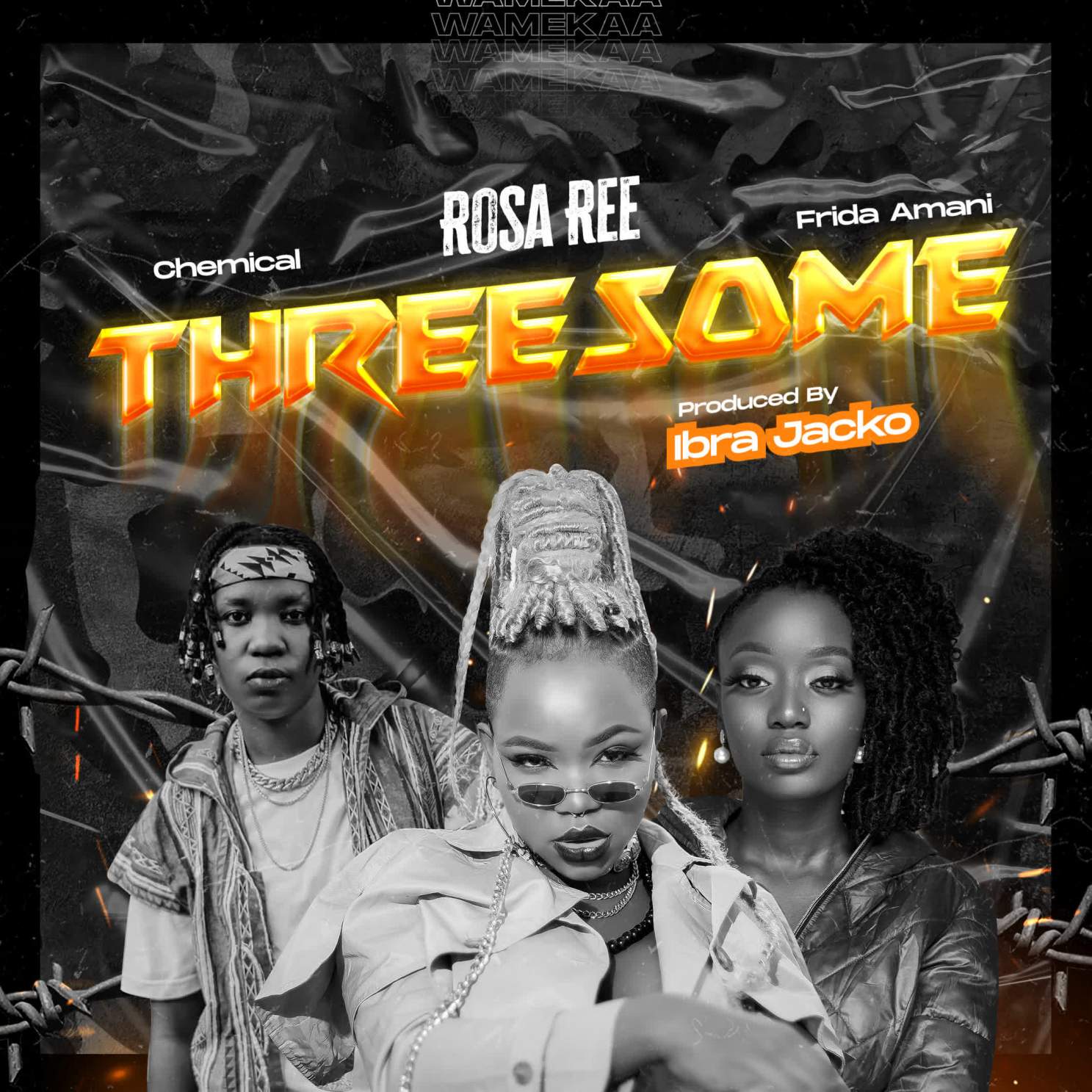 Audio: Rosa Ree Ft. Chemical & Frida Amani - Threesome (Mp3 Download)