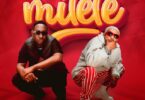 Audio: Manengo Ft. Kusah - Milele (Mp3 Download)