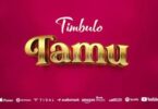Audio: Timbulo - Tamu (Mp3 Download)