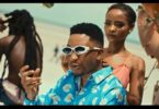 VIDEO: Billnass Ft. Jay Melody - Puuh (Mp4 Download)