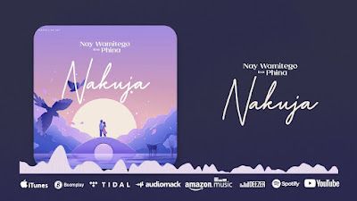 Nay Wa Mitego Ft Phina - Nakuja Audio Download