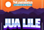 Audio: Nacha Ft Stamina - Jua Lile (Mp3 Download)