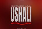 Audio: Meja Kunta Ft Kidochu Mc X Elisha - Ushali (Mp3 Download)