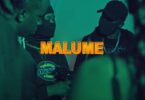 VIDEO: Moni Centrozone Ft Q Chief - Dr Malume (Mp4 Download)