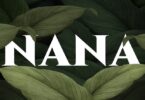 Audio: Dayoo - Nana (Mp3 Download)