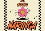 Audio: Zuchu - Naringa (Mp3 Download)