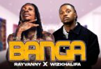 Audio: Rayvanny - BANGA (Mp3 Download)