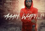 Audio: Country Wizzy Ft S2kizzy - AAh Wapi (Mp3 Download)