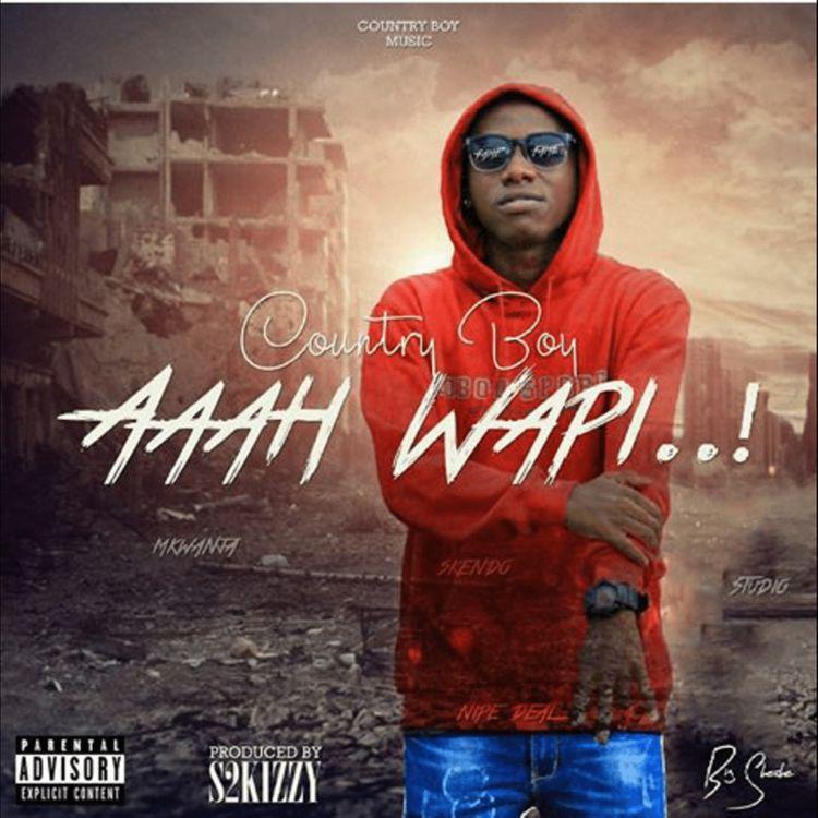 Audio: Country Wizzy Ft S2kizzy - AAh Wapi (Mp3 Download)