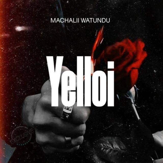 Audio: Machalii Watundu – Yelloi (Mp3 Download)